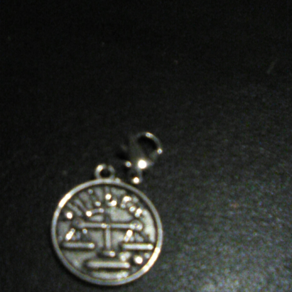 Zodiac sign charm